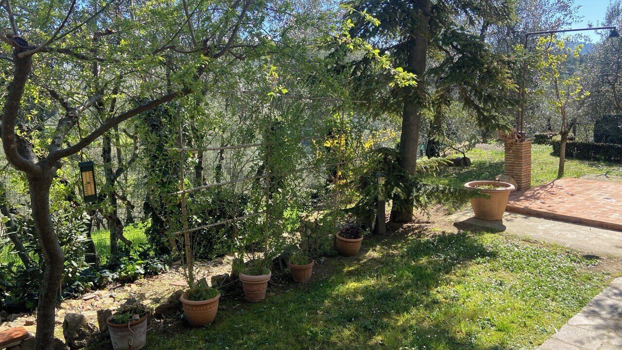Photo of Outdoor in Settignano