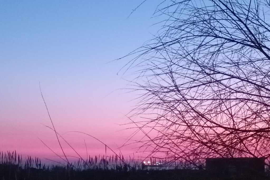Photo of Others in Ardea
