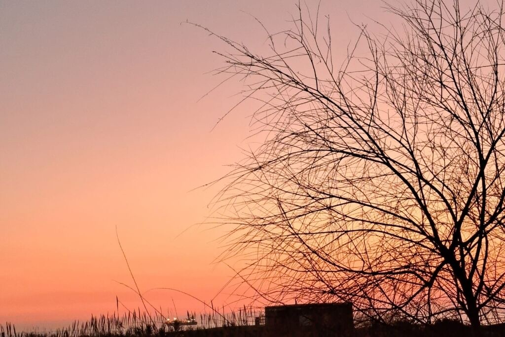 Photo of Others in Ardea