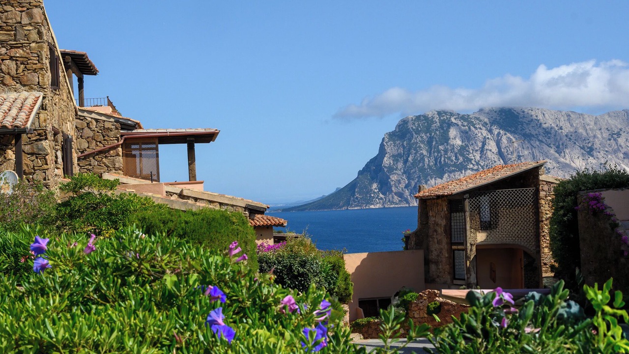 Photo of Outdoor in Capo Coda Cavallo