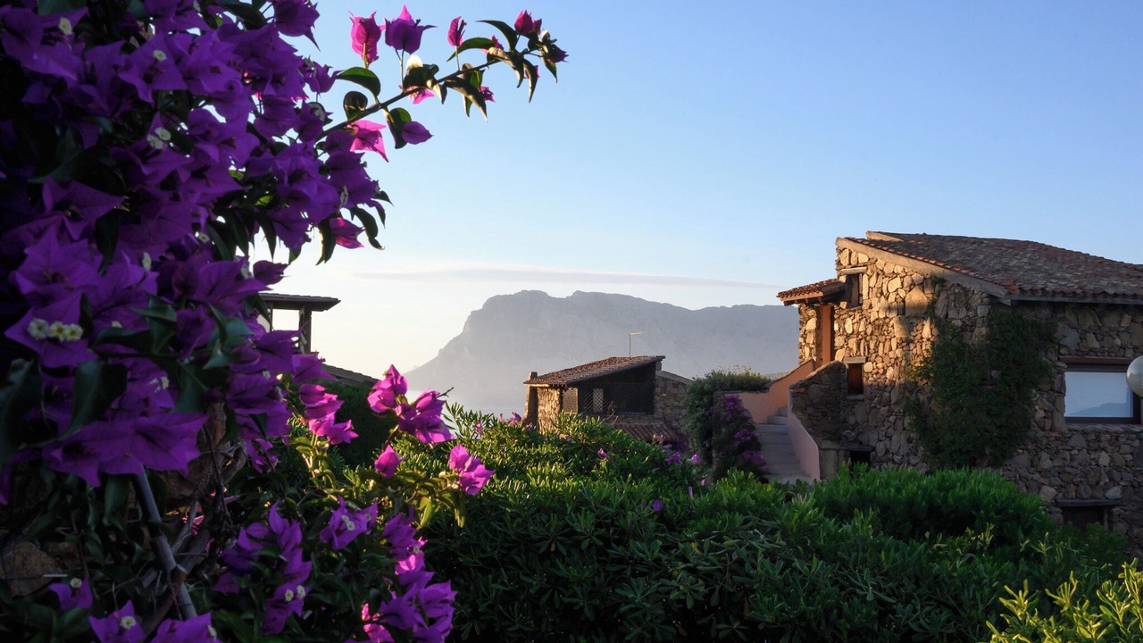 Photo of Others in Capo Coda Cavallo