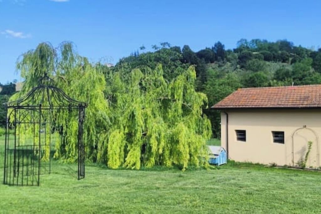 Photo of Outdoor in Cesena