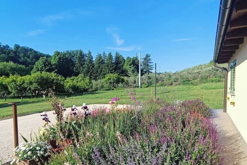 Photo of Outdoor in Cesena