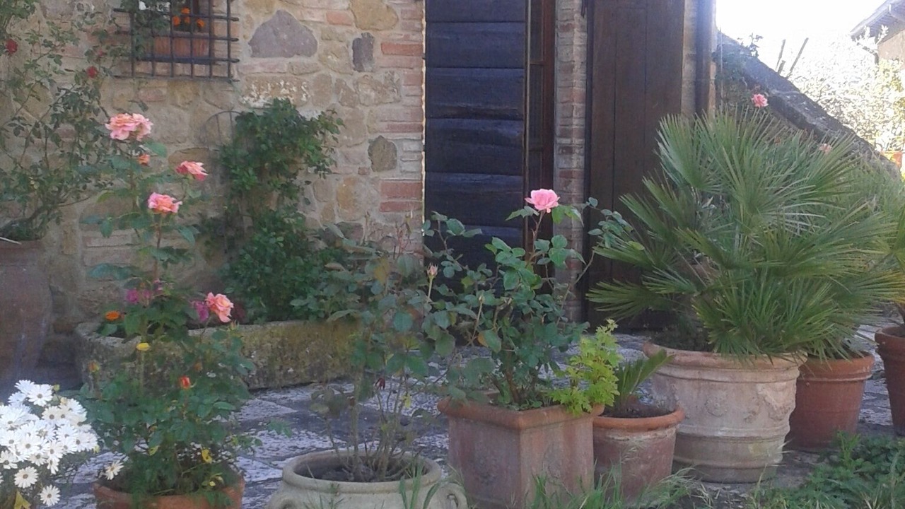 Photo of Outdoor in Chianciano Terme