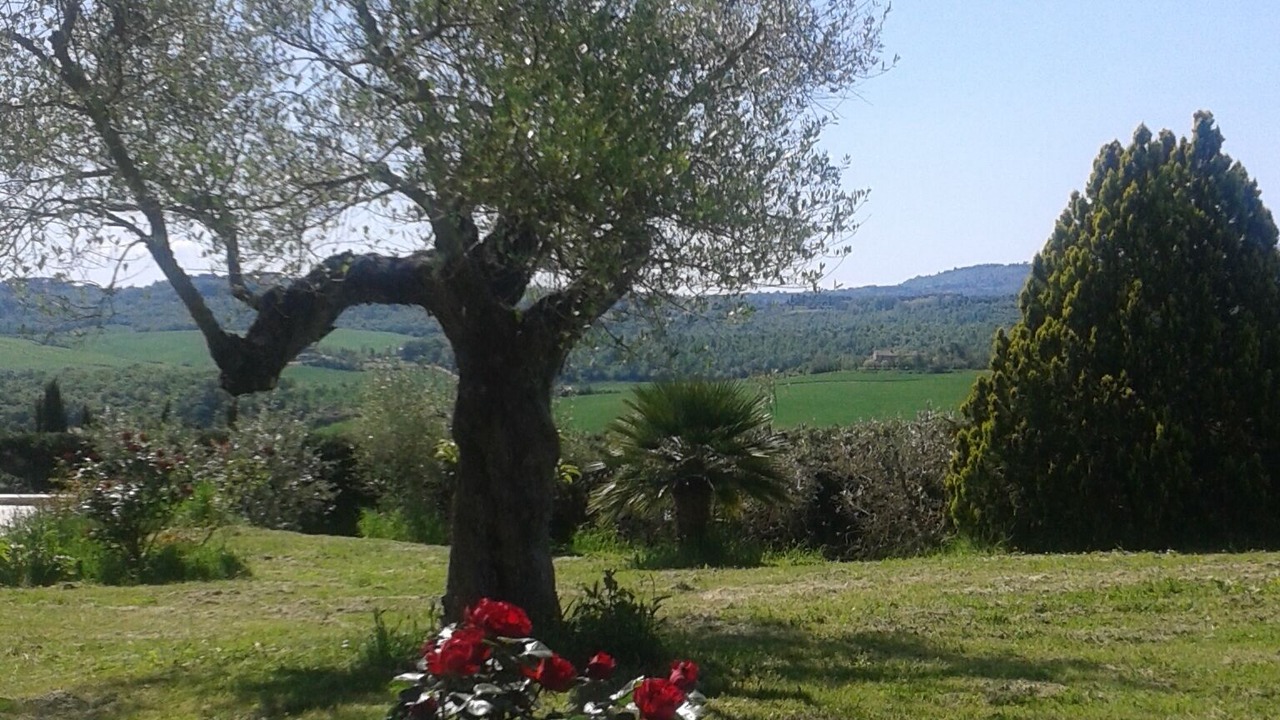 Photo of Outdoor in Chianciano Terme