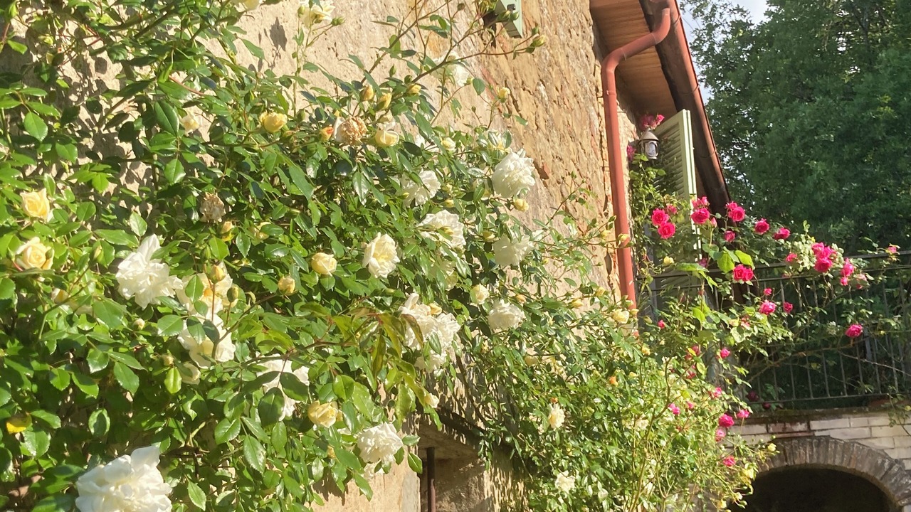 Photo of Outdoor in Bivio Lugnano