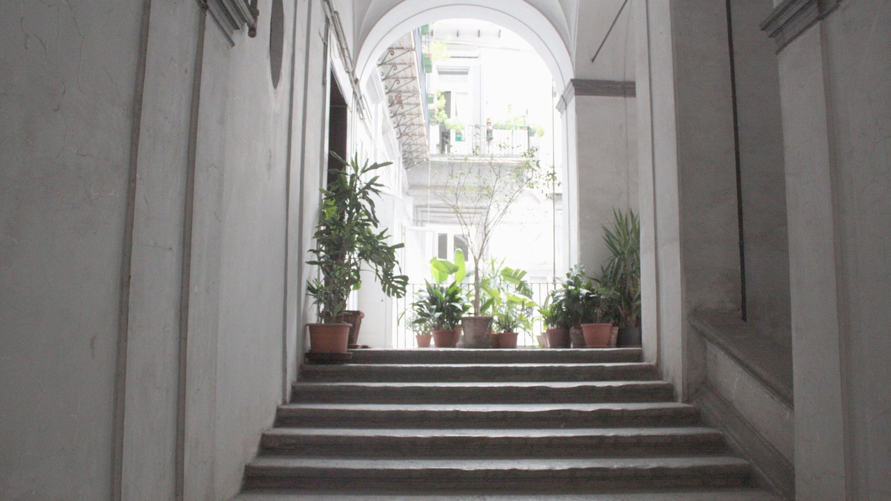 Photo of Others in Naples City Centre
