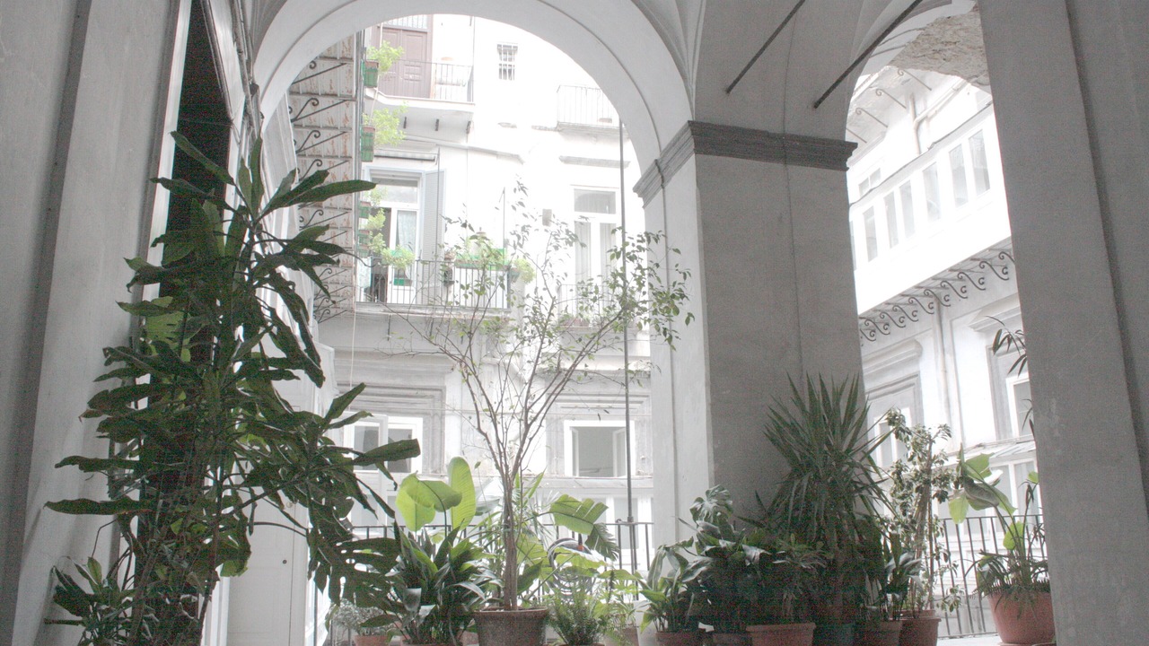 Photo of Outdoor in Naples City Centre