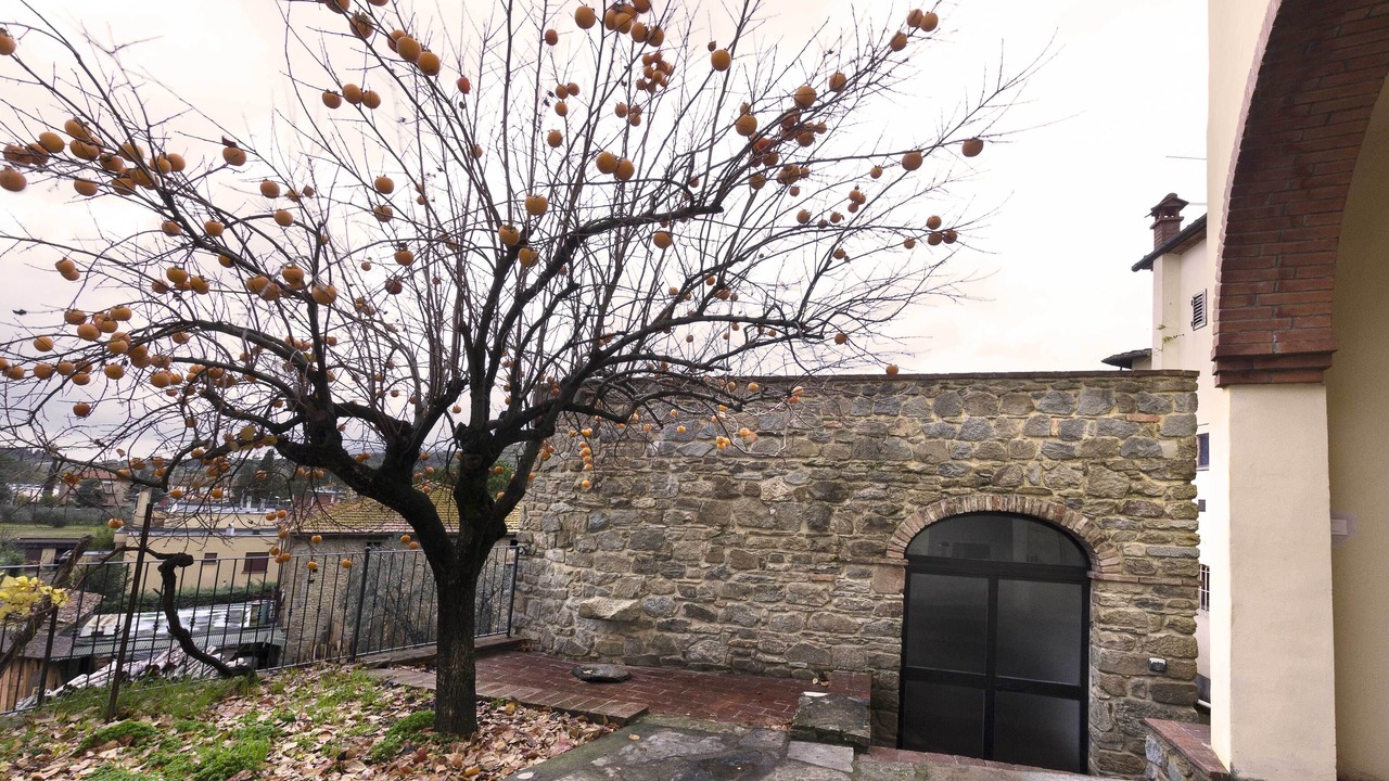 Photo of Outdoor in Castiglion Fibocchi