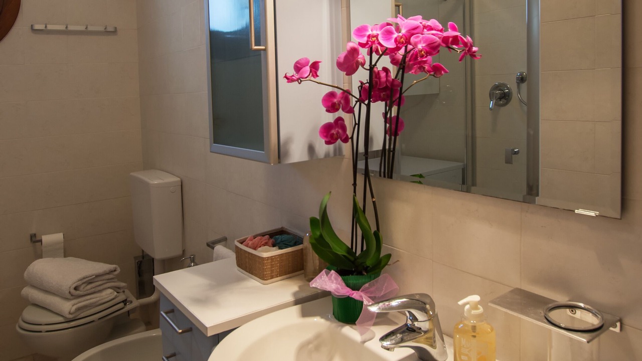 Photo of Bathroom in Marina di Ravenna