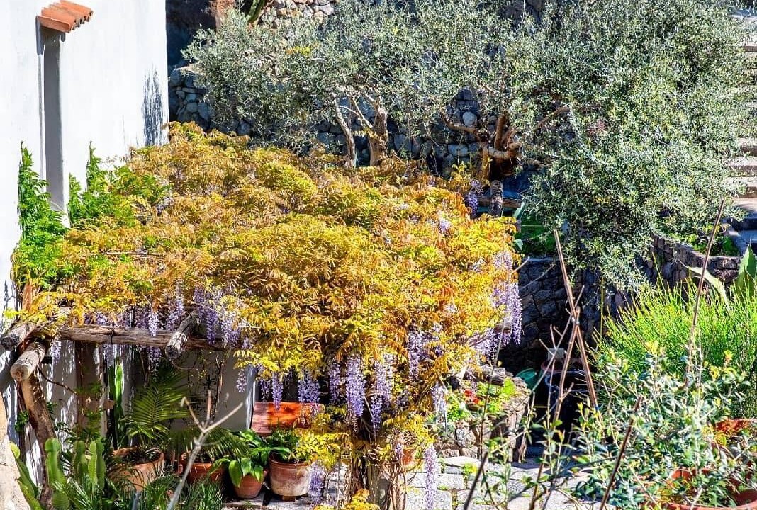 Photo of Outdoor in Forio