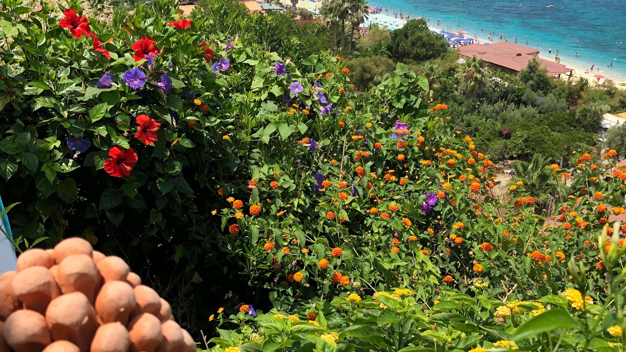Photo of Outdoor in Tropea