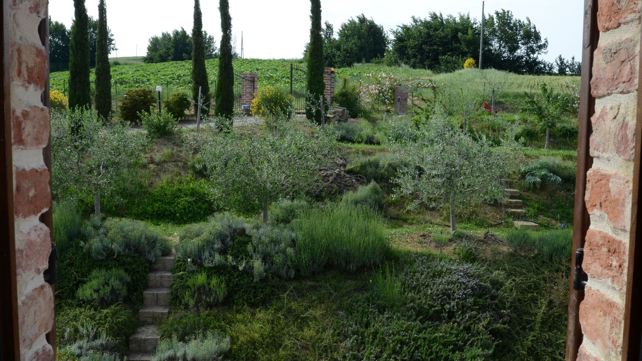 Photo of Outdoor in Castiglione del Lago