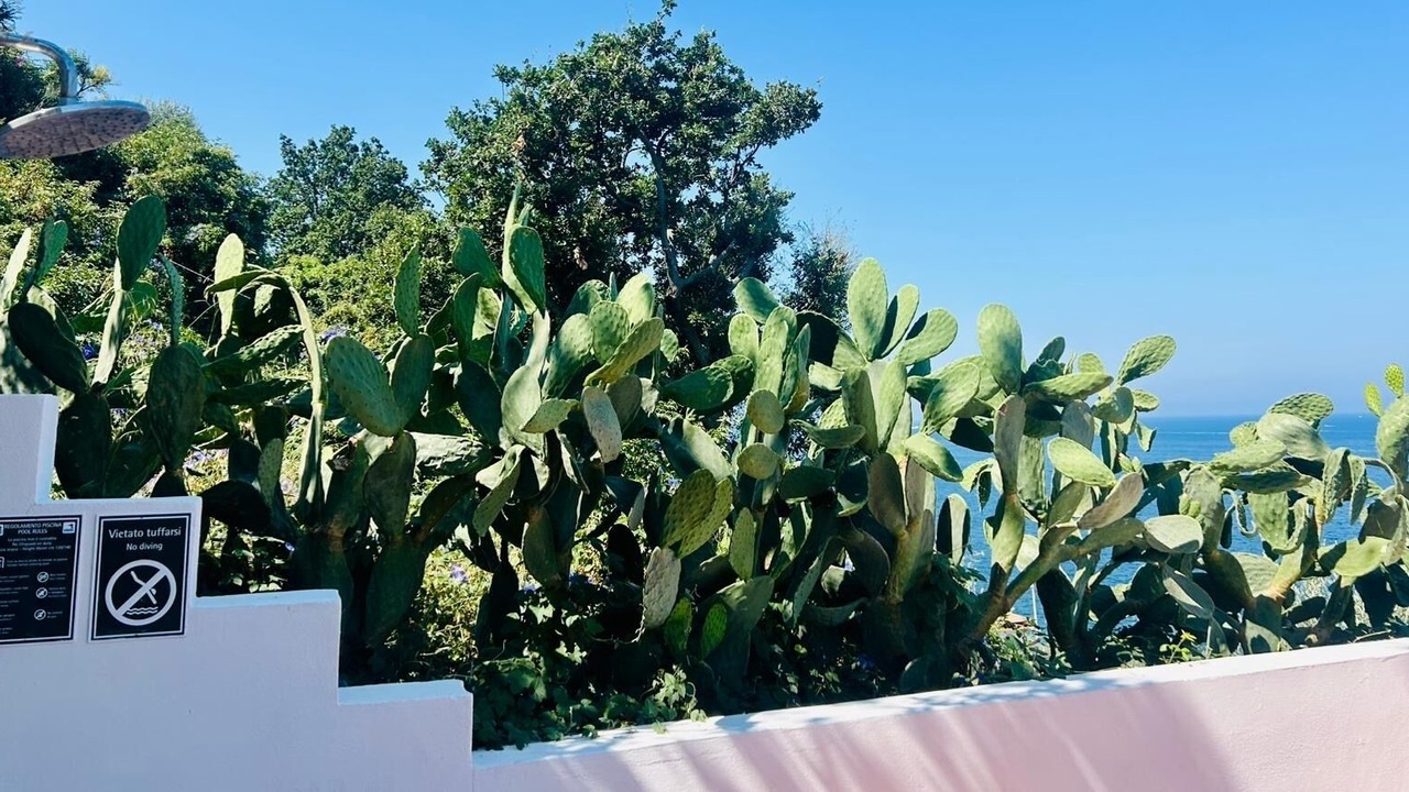 Photo of Outdoor in Massa Lubrense