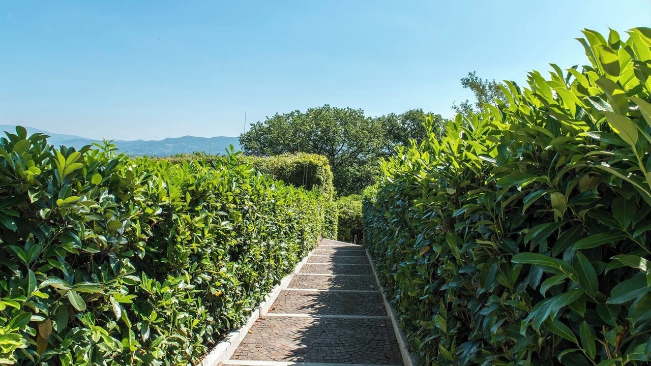 Photo of Outdoor in Pieve al Bagnoro