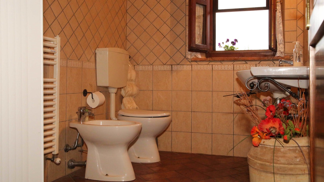 Photo of Bathroom in Gavorrano
