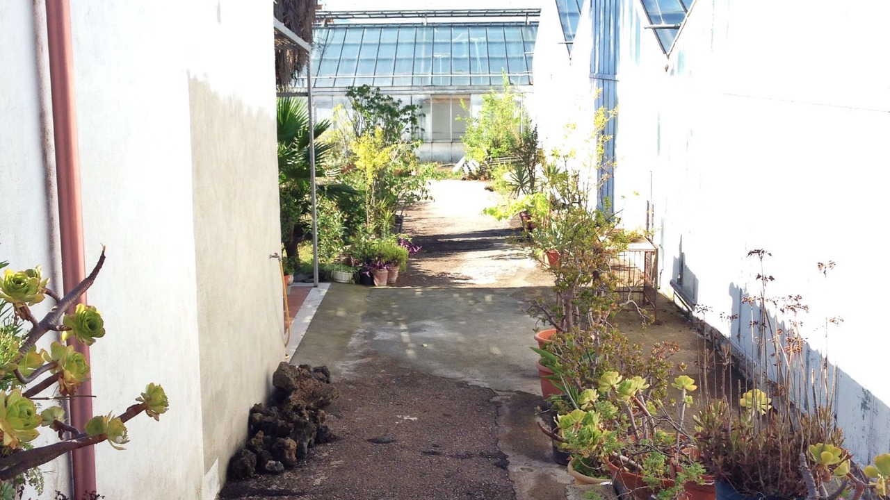 Photo of Outdoor in Trecase
