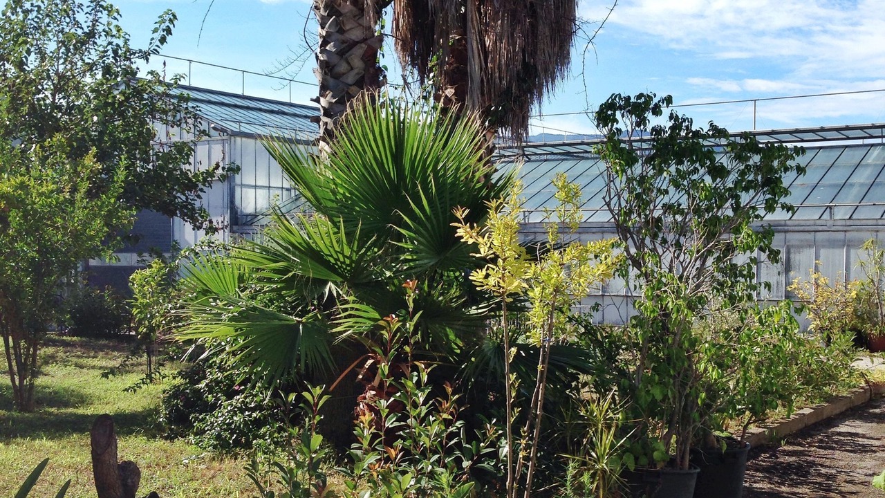 Photo of Outdoor in Trecase