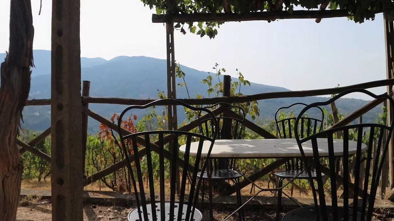 Photo of Patio Balcony in Pelago