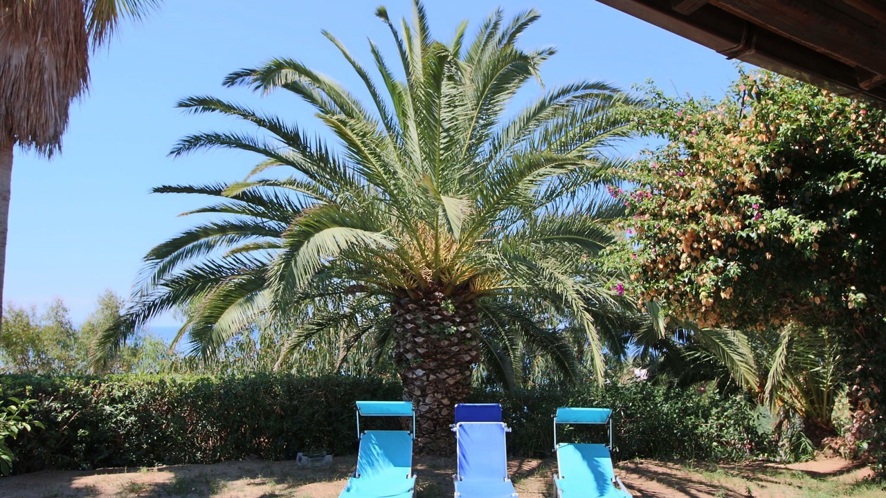 Photo of Outdoor in Santa Maria