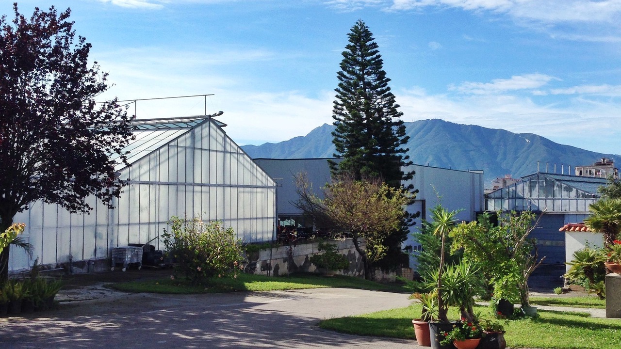Photo of Outdoor in Trecase