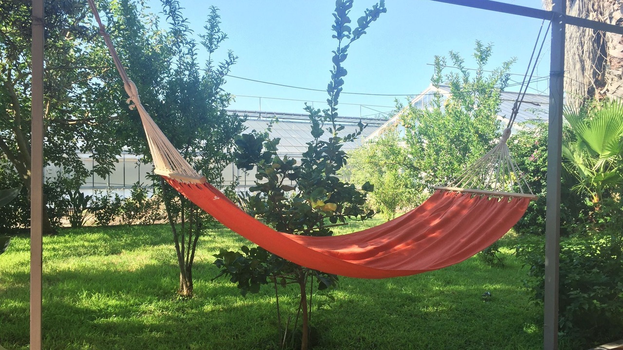 Photo of Outdoor in Trecase