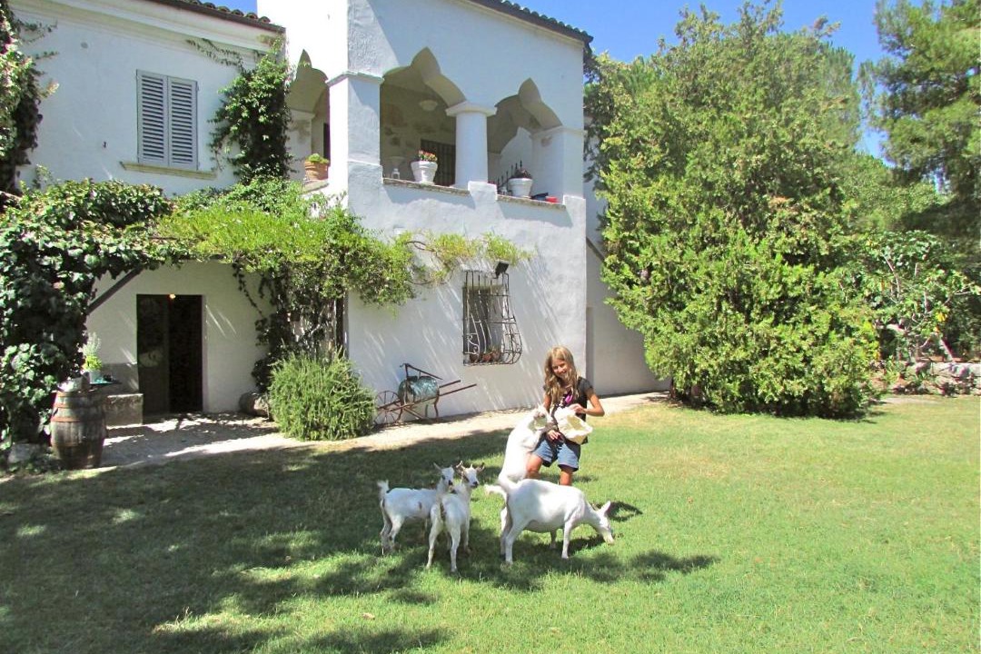 Photo of Others in Tocco da Casauria