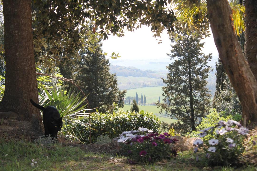 Photo of Others in Peccioli