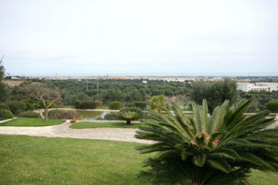 Photo of Others in Fasano