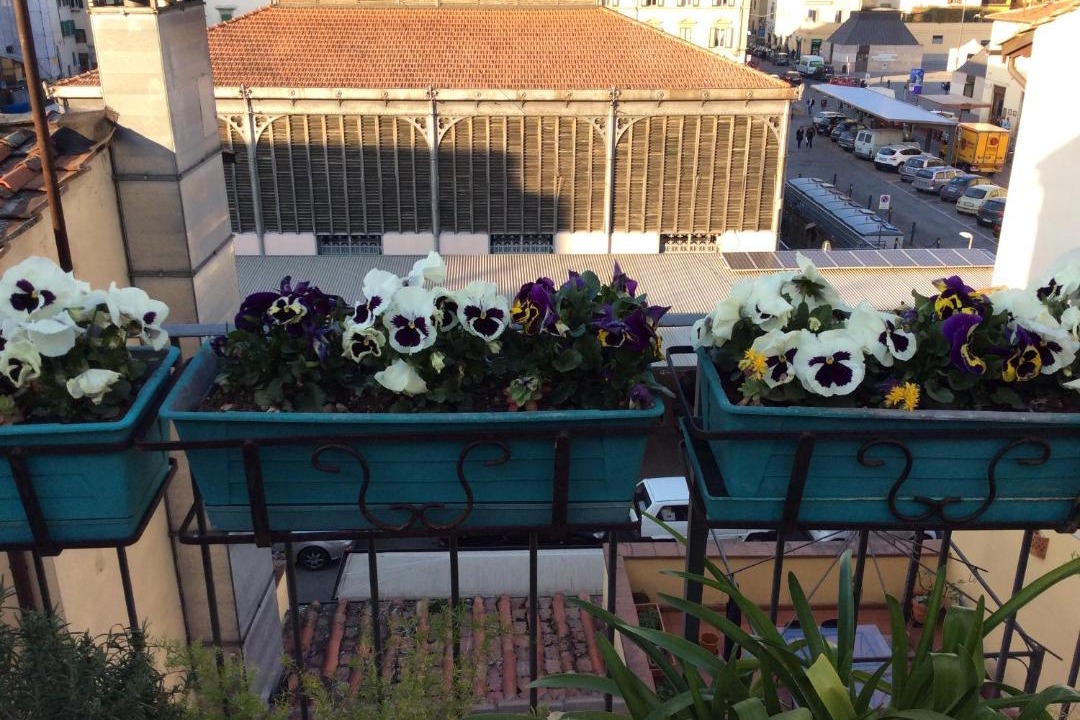 Photo of Others in Santa Croce