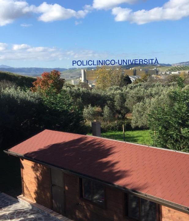 Photo of Others in Catanzaro