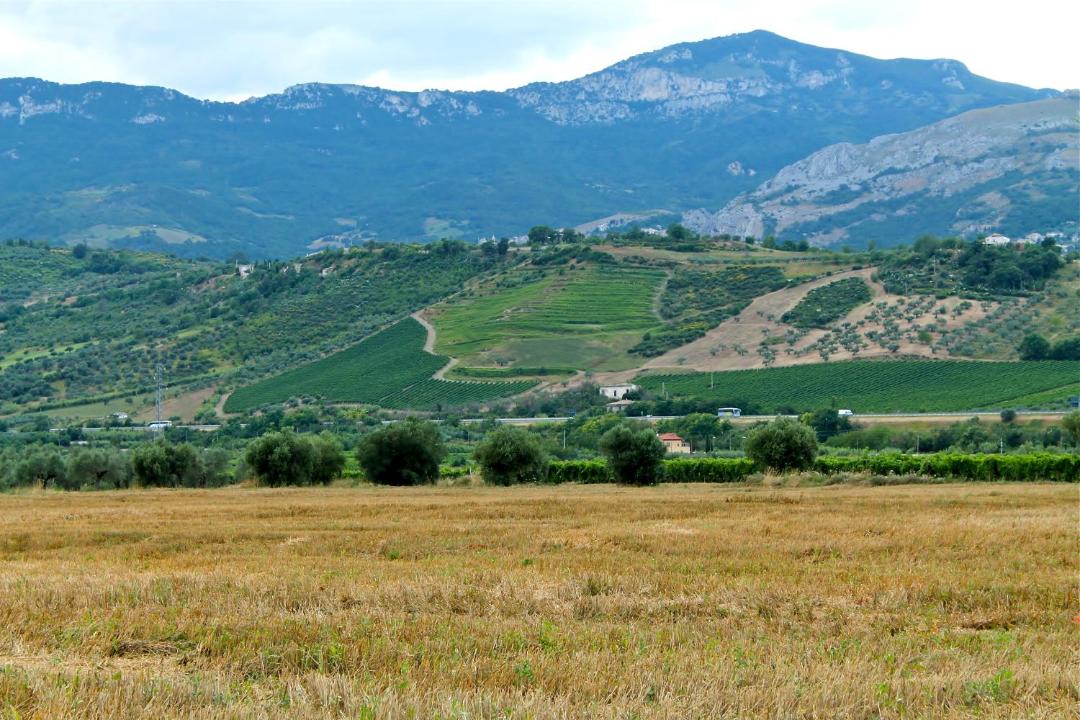 Photo of Others in Tocco da Casauria