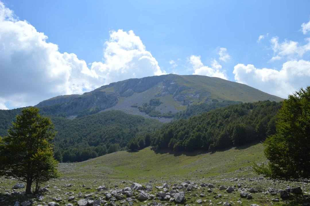Photo of Others in Viggianello