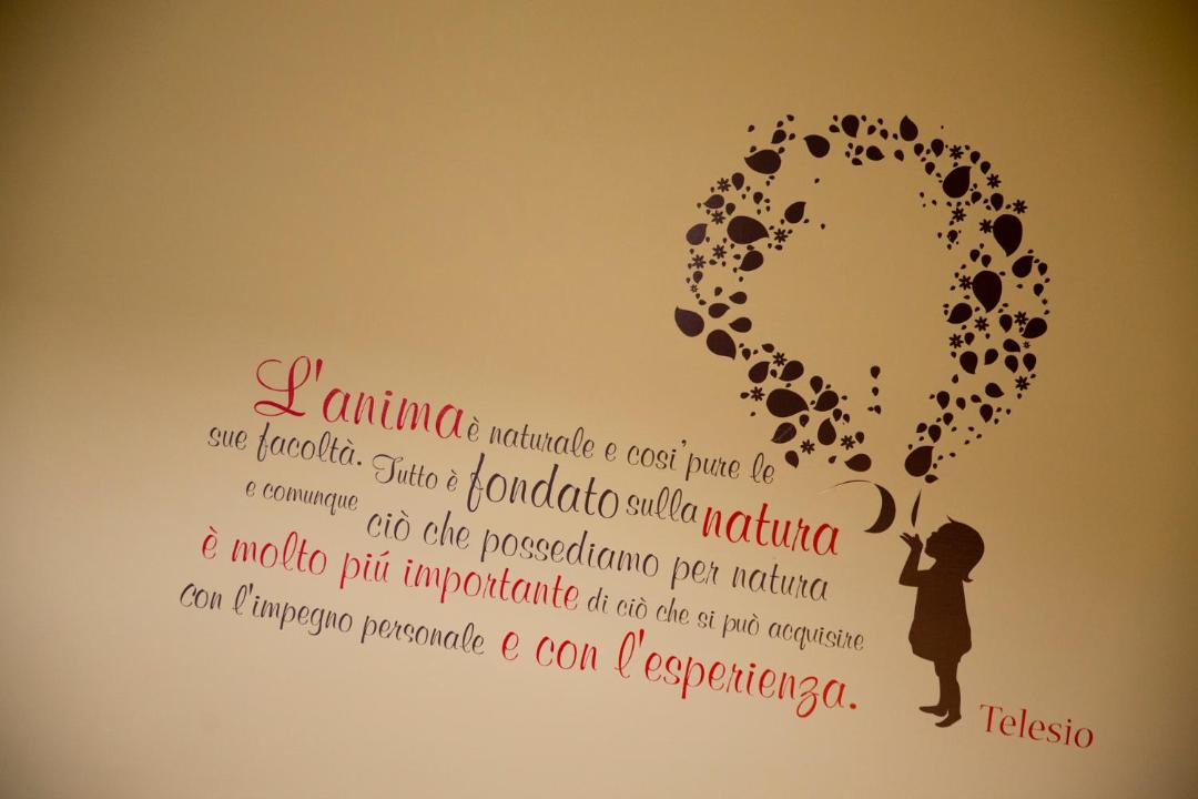 Photo of Others in Cosenza