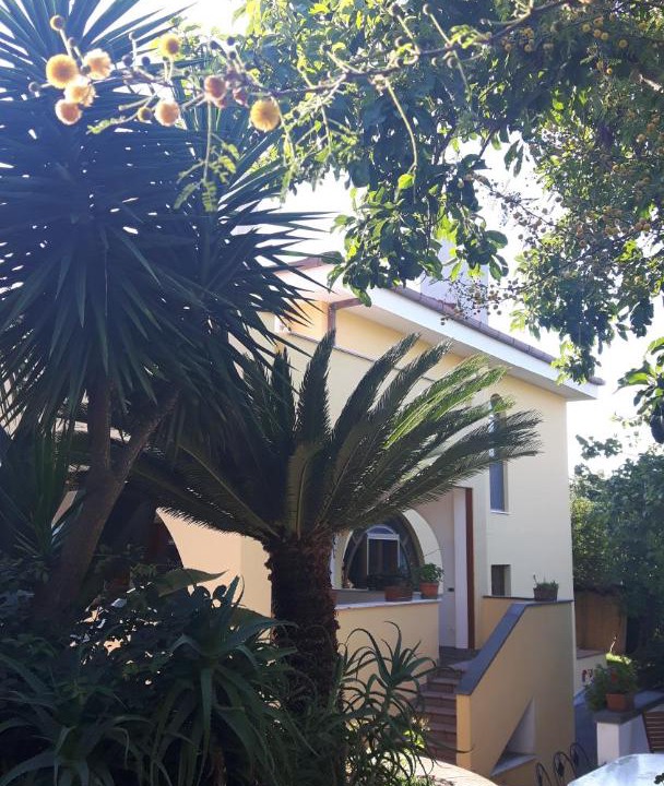 Photo of Others in Piano di Sorrento