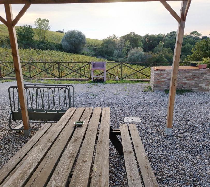 Photo of Others in Castelnuovo Berardenga