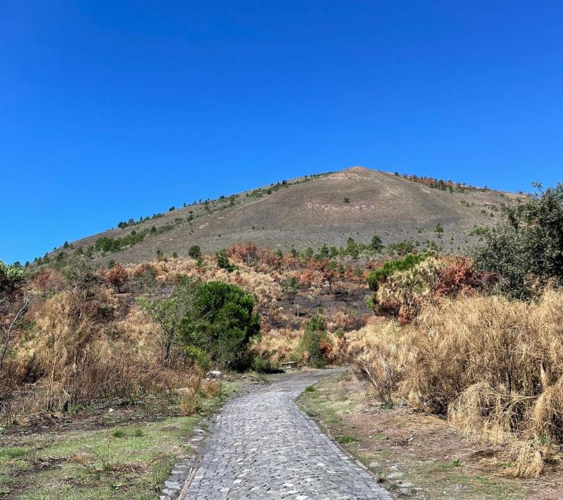 Photo of Outdoor in Mount Vesuvius - Pompei