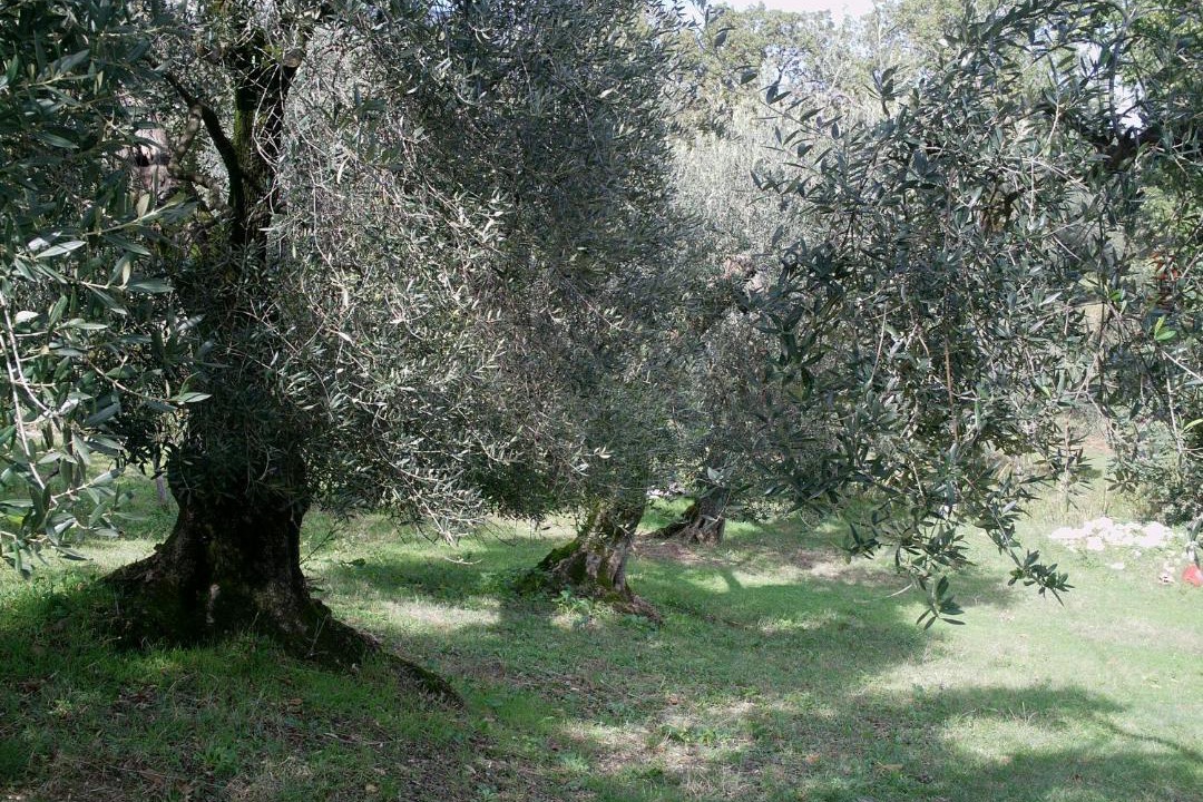 Photo of Outdoor in Spigno Saturnia