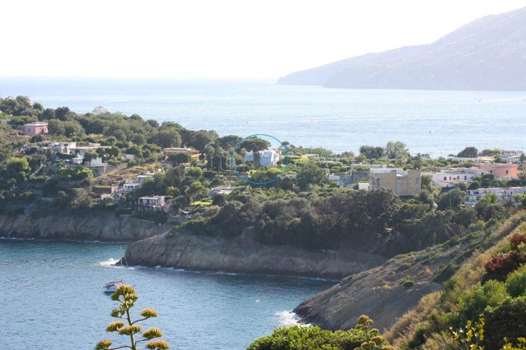 Photo of Others in Procida