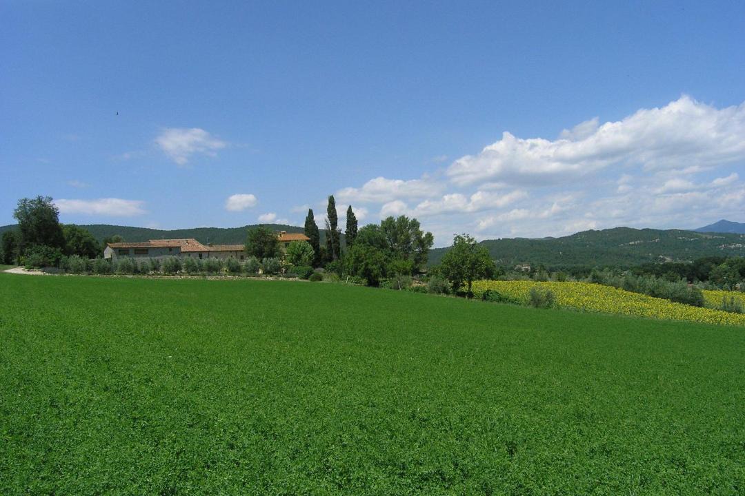 Photo of Others in Motina