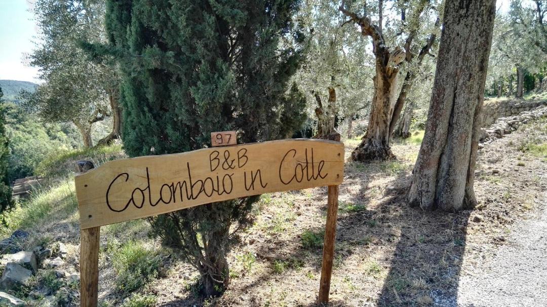 Photo of Others in Sant'Angelo In Colle