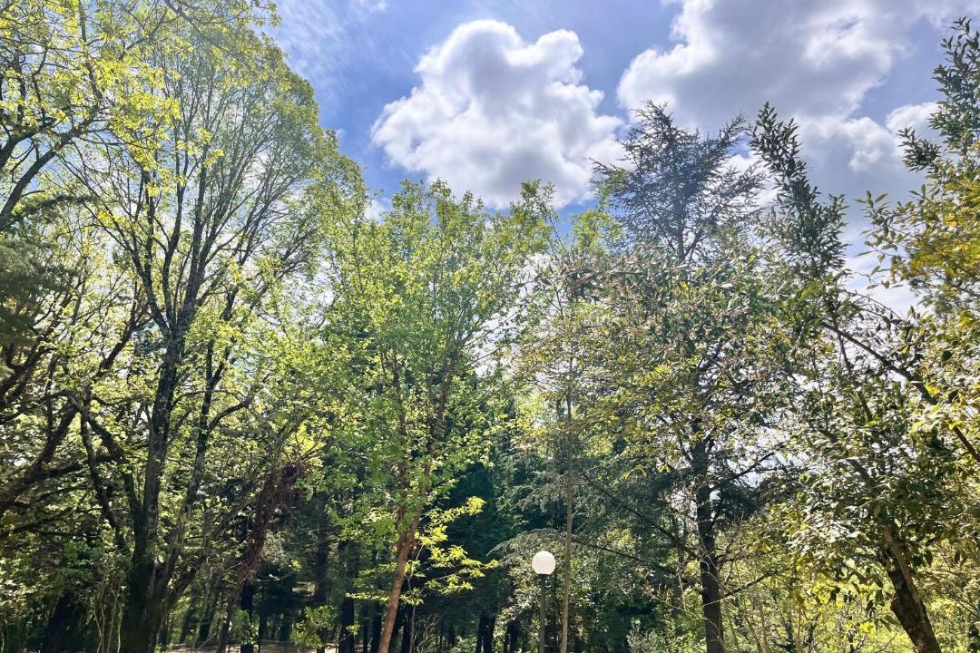 Photo of Outdoor in Vinchiaturo