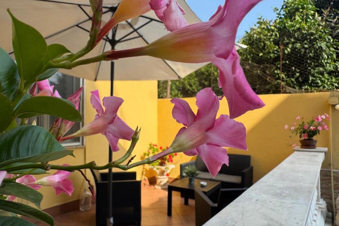 Photo of Patio Balcony in Naples