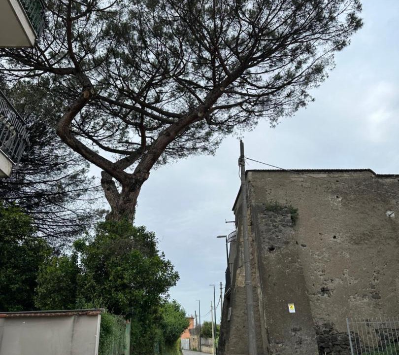 Photo of Others in Naples