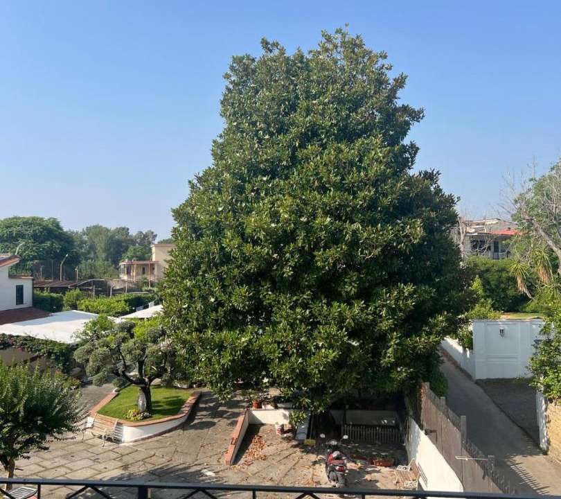 Photo of Others in San Giuseppe Vesuviano