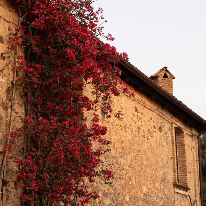 Photo of Others in Santa Cristina d'Aspromonte
