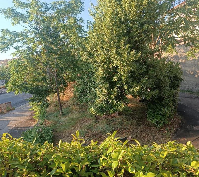 Photo of Outdoor in Serra Pedace