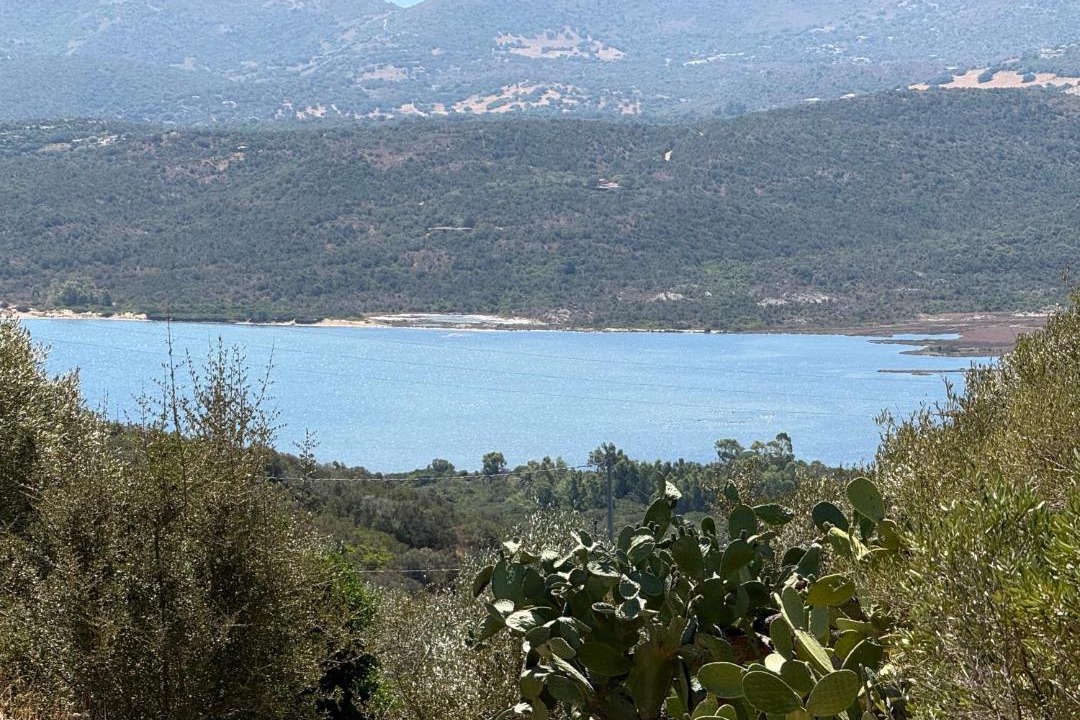 Photo of Others in Cugnana Verde
