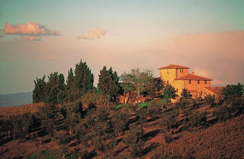 Photo of Others in San Casciano in Val di Pesa