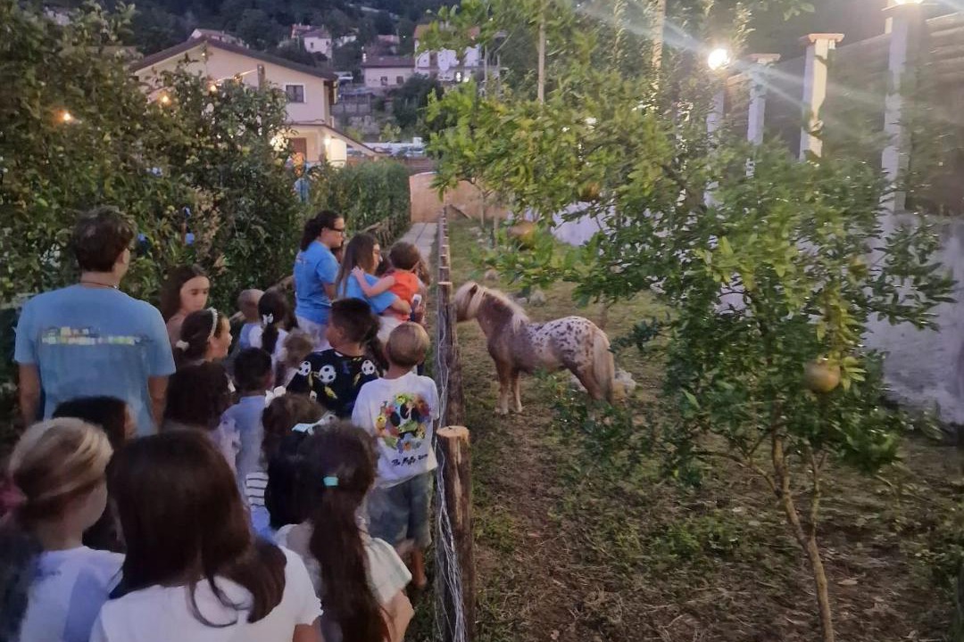 Photo of Outdoor in San Lazzaro